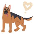 British Weather and Your Dog’s Exercise: How to Adapt Your Routine Year-Round