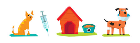 Placing the Habitat in Your Home