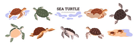 Selecting Eco-friendly Materials and Décor