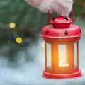 Booking Pet-Friendly Holiday Parks in the UK: What to Expect and How to Prepare