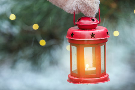 Booking Pet-Friendly Holiday Parks in the UK: What to Expect and How to Prepare