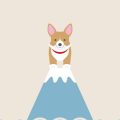 Life After Adoption: Success Stories from British Dog Owners