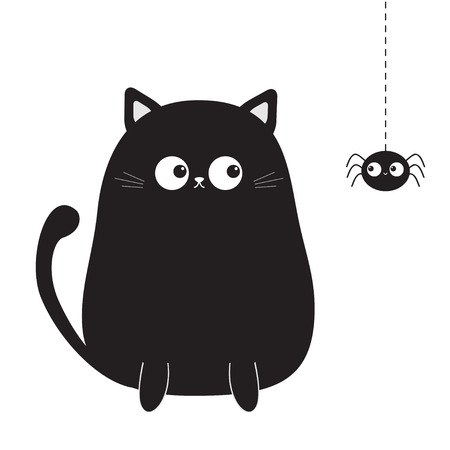 Common Misconceptions About Cats and Water