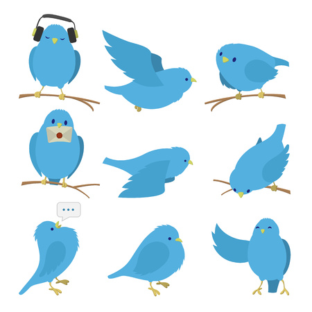 How to Encourage Natural Behaviours in British Pet Birds