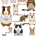 Banned and Restricted Exotic Pets in the UK: Legal List and Explanations