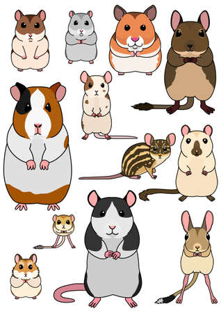 Banned and Restricted Exotic Pets in the UK: Legal List and Explanations