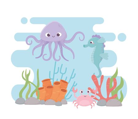 Popular Live Corals for Marine Aquariums in the UK