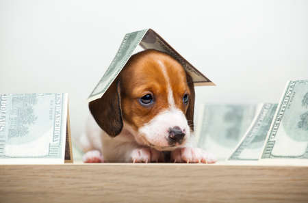 Preparing for the Home Check: What UK Adoption Centres Look For