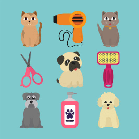 Gerbil Enrichment and Entertainment: Top Toys and Activities for UK Owners