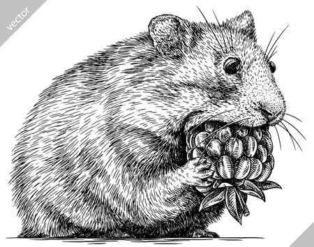 Animal Welfare Act 2006 and Its Implications