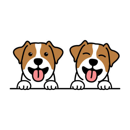 Services Offered by UK Animal Charities