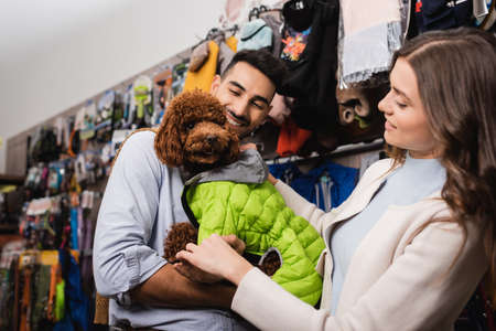 Where to Buy Small Pet Accessories & Supplies in the UK: High Street, Online, and Specialist Shops