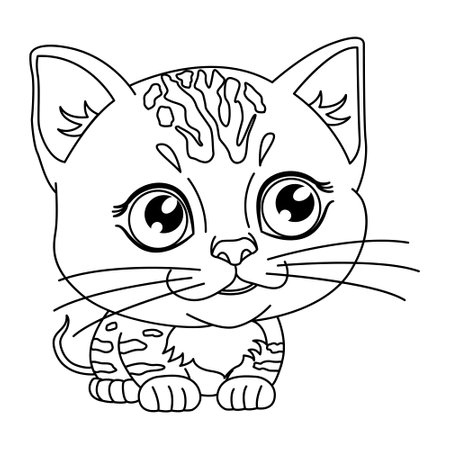Application Process for an Exotic Pet Licence