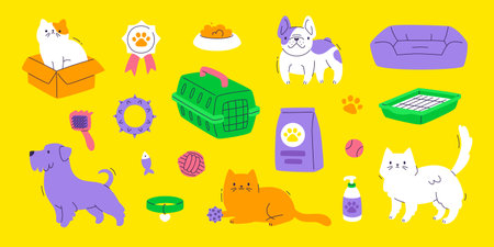 DIY Enrichment Ideas Using UK Household Items