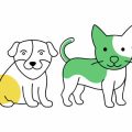 How the British Weather Affects Your Cat’s Feeding Needs