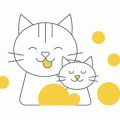 Food Allergies and Sensitivities in Cats: The UK Pet Owners’ Guide