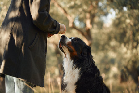 Why Support Groups Matter: Exploring the Impact of Shared Grief Among UK Pet Owners