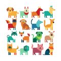 Traveling with Small Pets in the UK: Must-Have Accessories & Supplies for Journeys