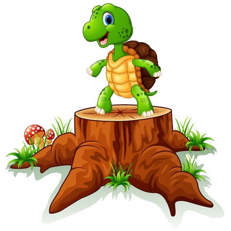 Reptile Enrichment: Creative Ways to Prevent Boredom for Your Exotic Pet